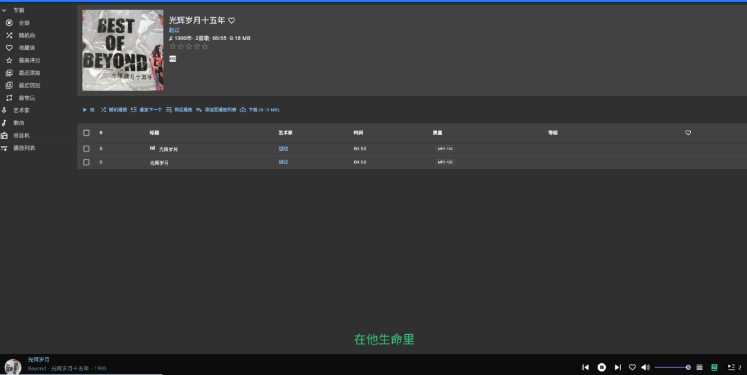 图片[4]-速学搭建音乐库秘籍：Docker 版刮削软件部署指南-一起撸毛吧