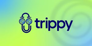 网络诊断神器Trippy:一键追踪路由,快速定位网络问题-一起撸毛吧